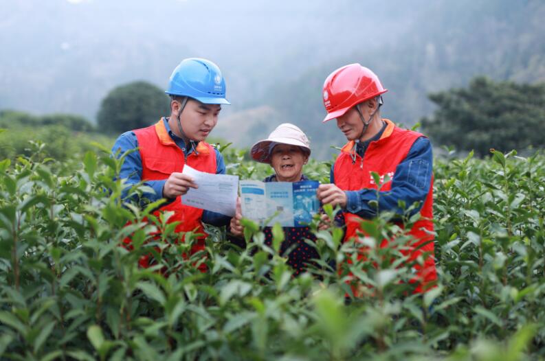 供电服务人员了解春茶加工用电情况。