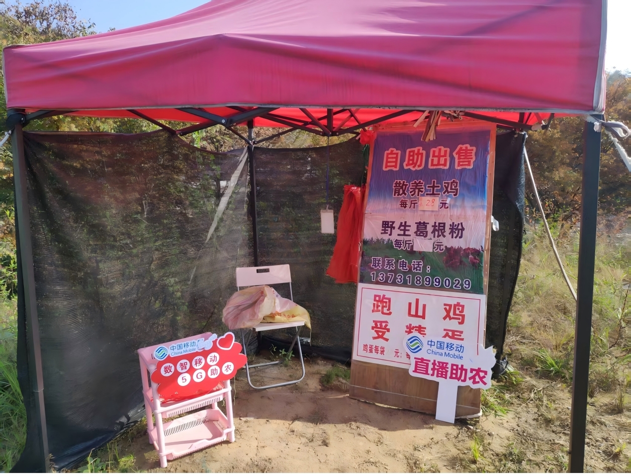 5G直播带货成为“新农活”。安徽移动供图