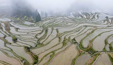 浙江麗水：春耕備耕正當時