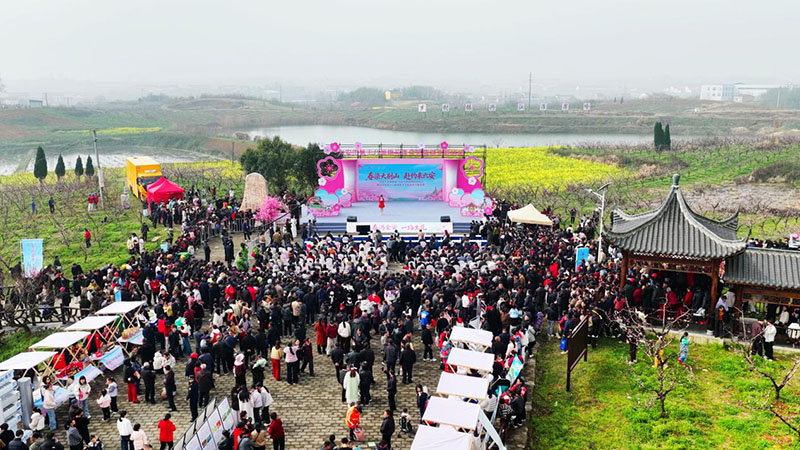 俯瞰六安市第十八届桃花季文化旅游主题活动现场。金安区委宣传部供图
