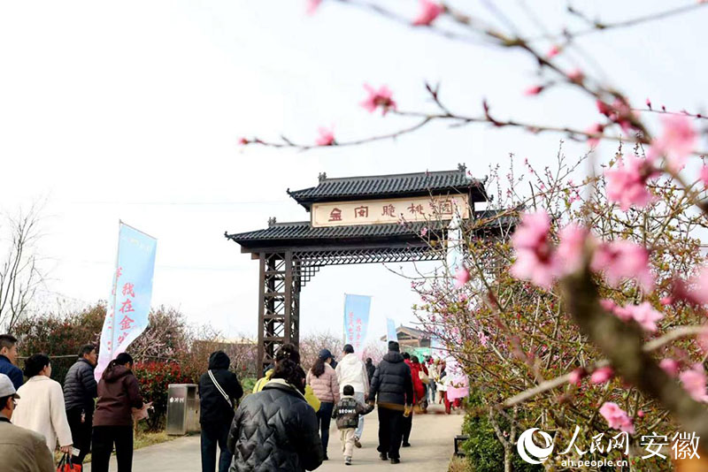 众多游客走进桃花园会场欣赏桃花美景。人民网记者 周坤摄