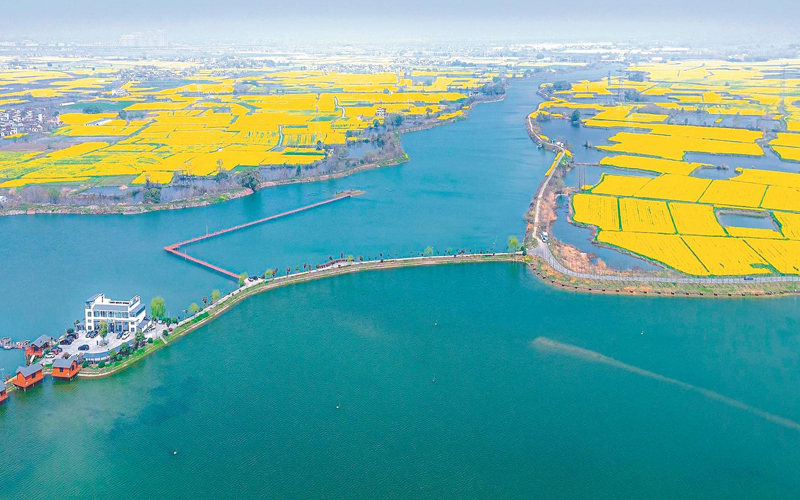 樂游花海賞春光