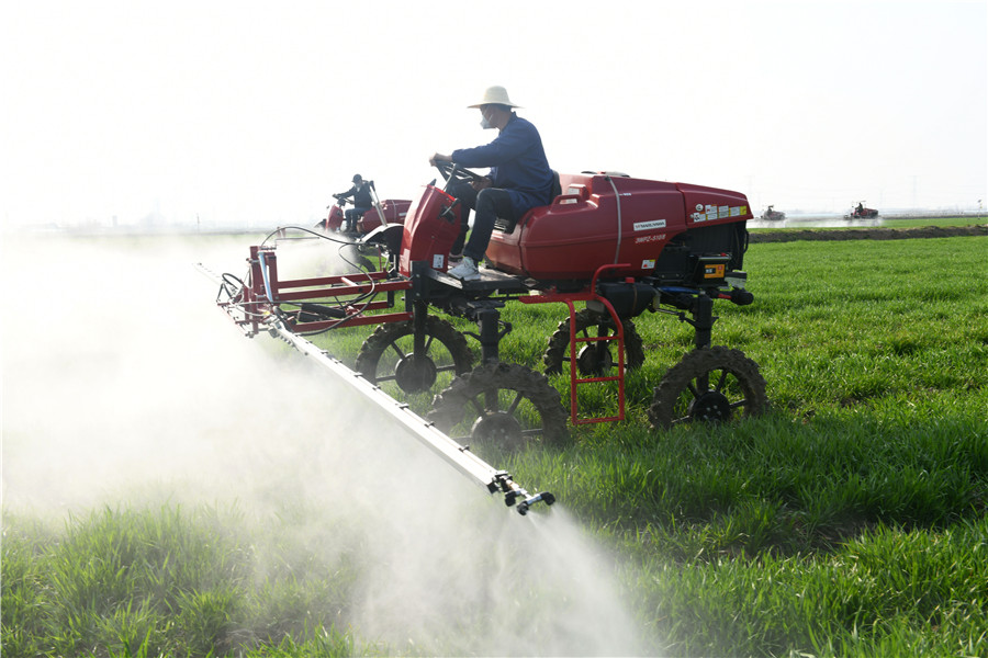 安徽淮南农场组织自走式植保机在麦田里作业。