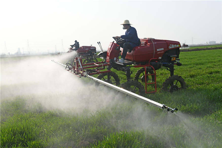 安徽淮南农场组织自走式植保机在麦田里作业。