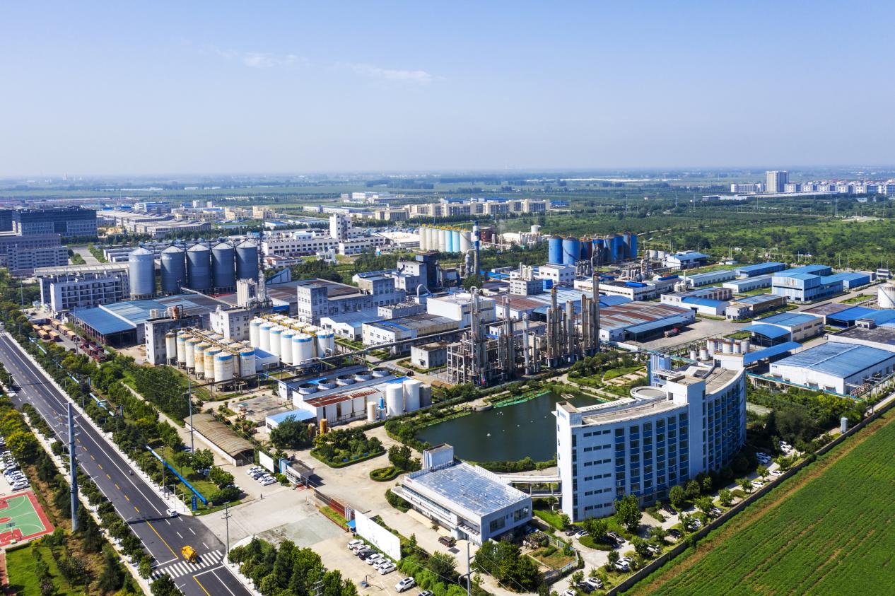 安徽安特食品股份有限公司厂区航拍图。受访者供图