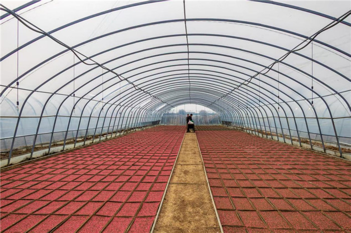 六安市金安春耕跑出“加速度” 。