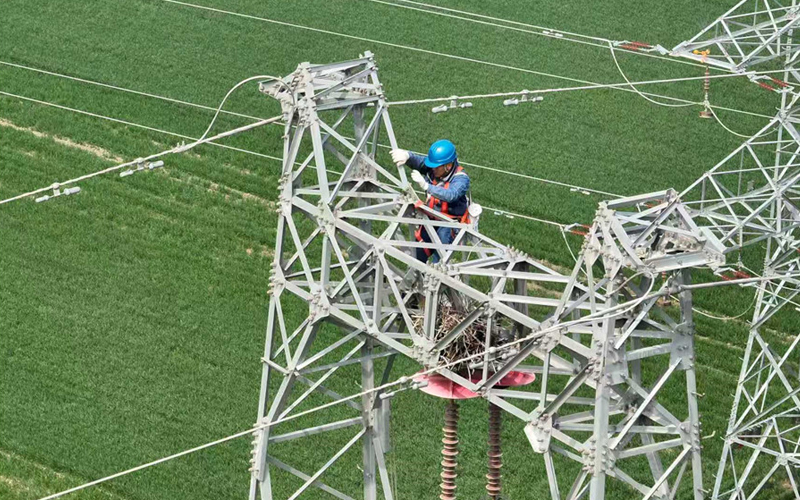 安徽渦陽：輸電線路春檢忙