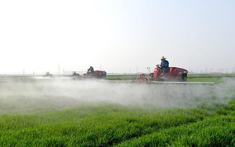 安徽淮南：智慧田管助豐產