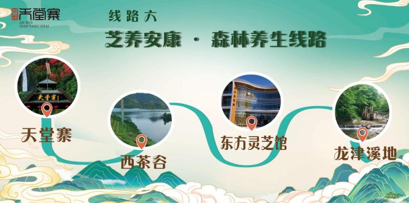 线路六:芝养安康・森林养生线路