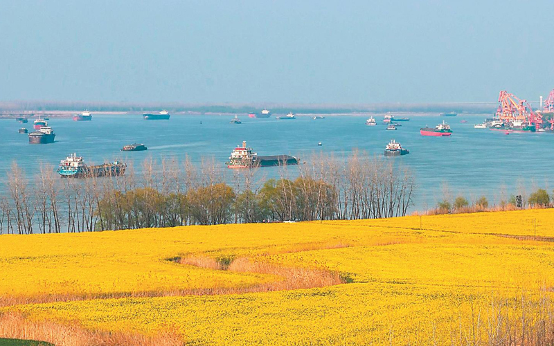 芜湖市繁昌区：油菜花田与船只相映成景