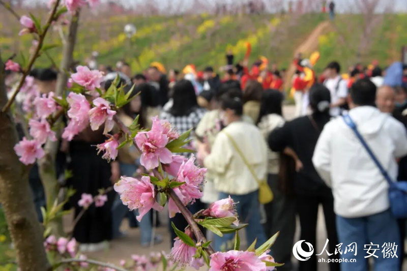 盛开的桃花,吸引众多市民前来赏花游园。人民网记者 周坤摄