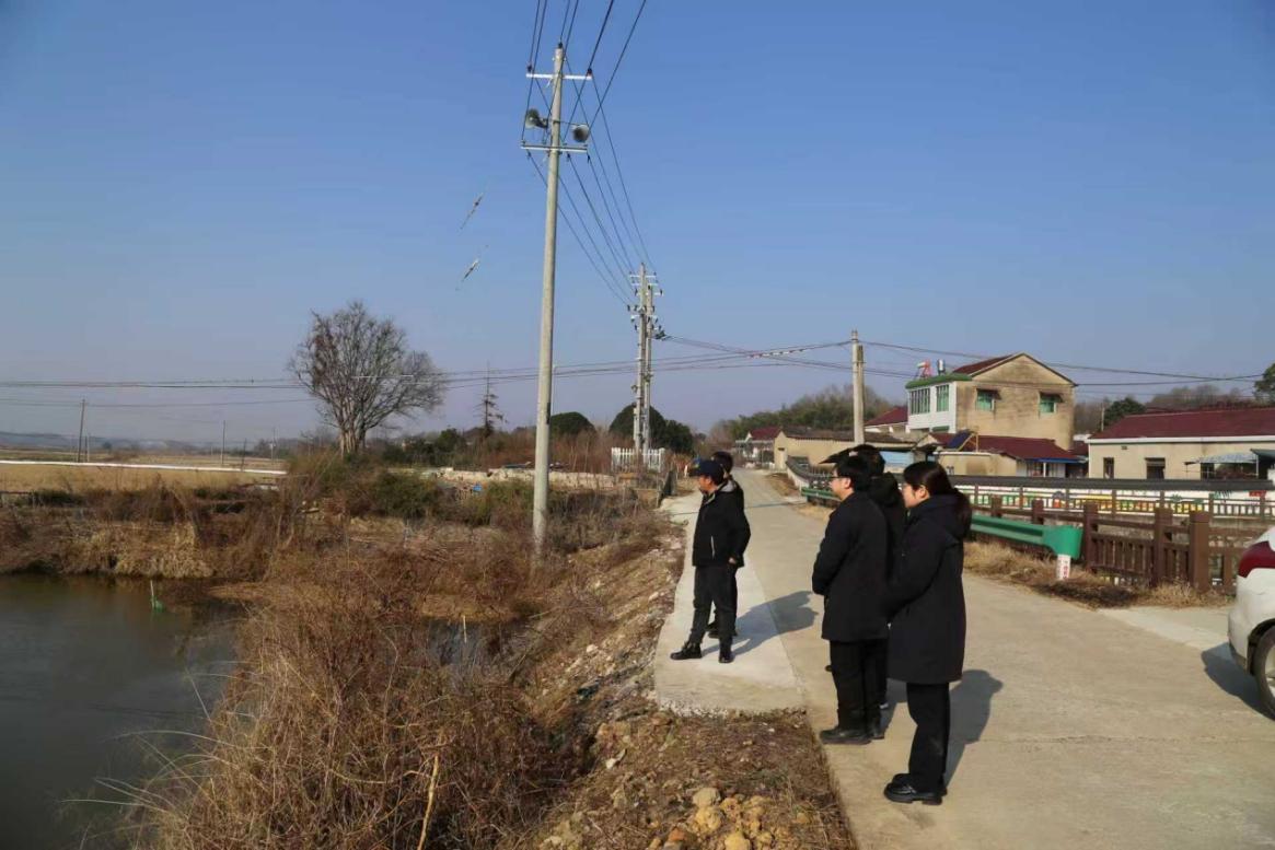 “农业保险+”创新实践 点亮青阳乡村振兴路。