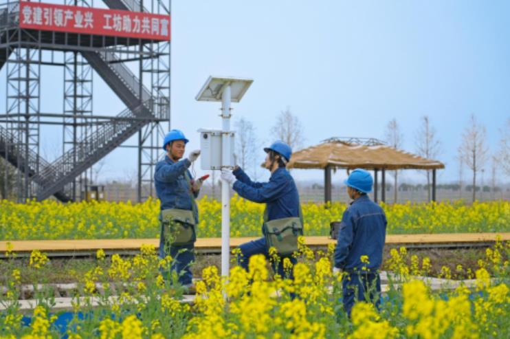 檢查維護用電設備。徐斌攝