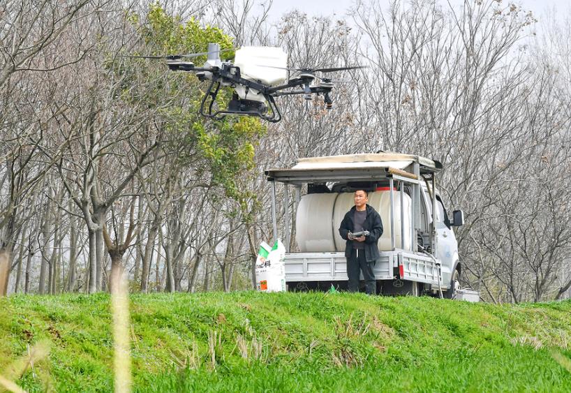 種糧大戶張滔操控無人機施肥,促進小麥生長。