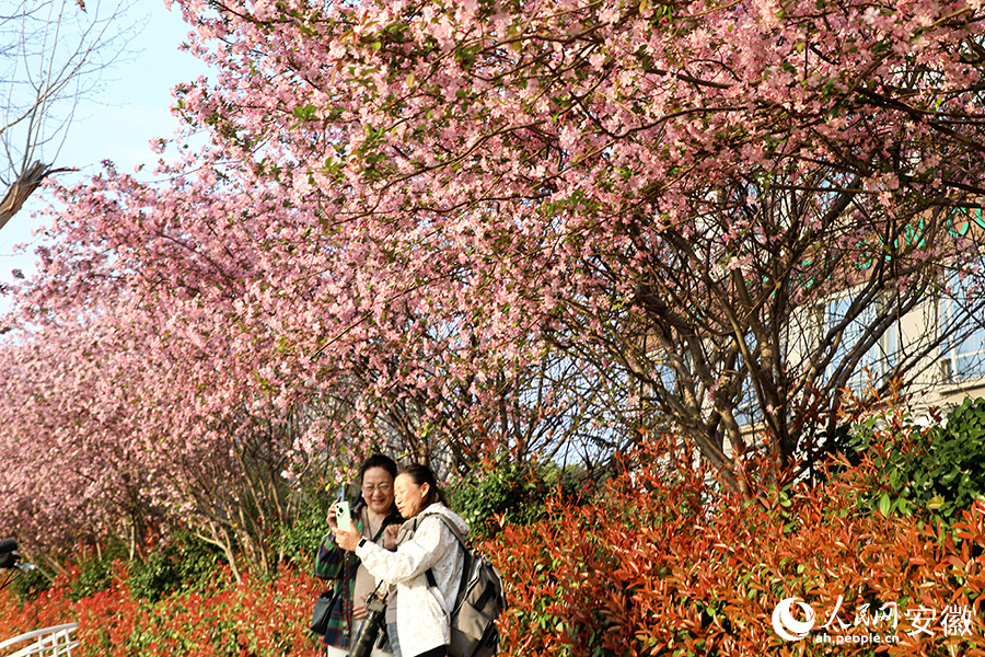 市民正在拍照打卡。人民网 郭昊摄