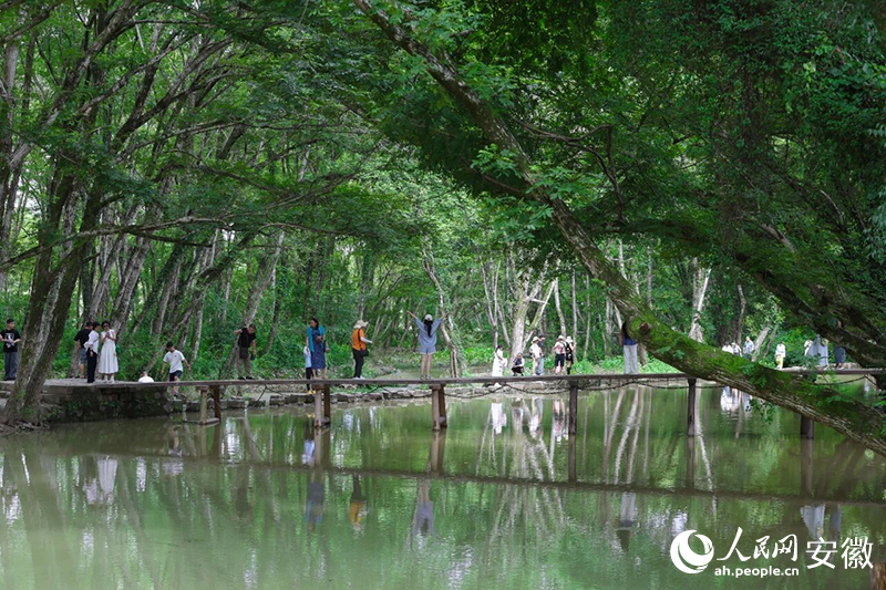 春夏时节，西溪南村吸引众多游客前来打卡。人民网记者 张俊摄
