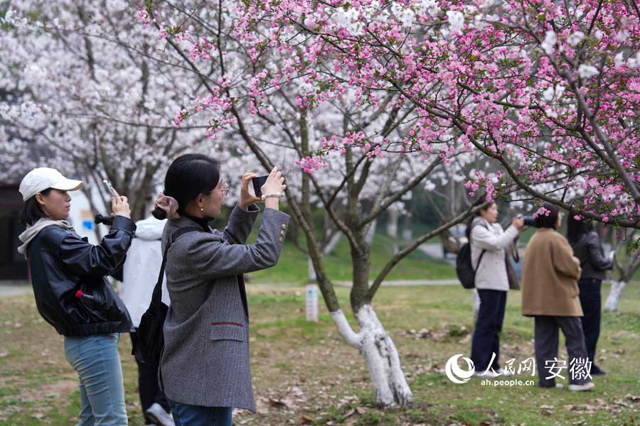 游人在滨江公园踏青赏花。人民网记者 苗子健摄