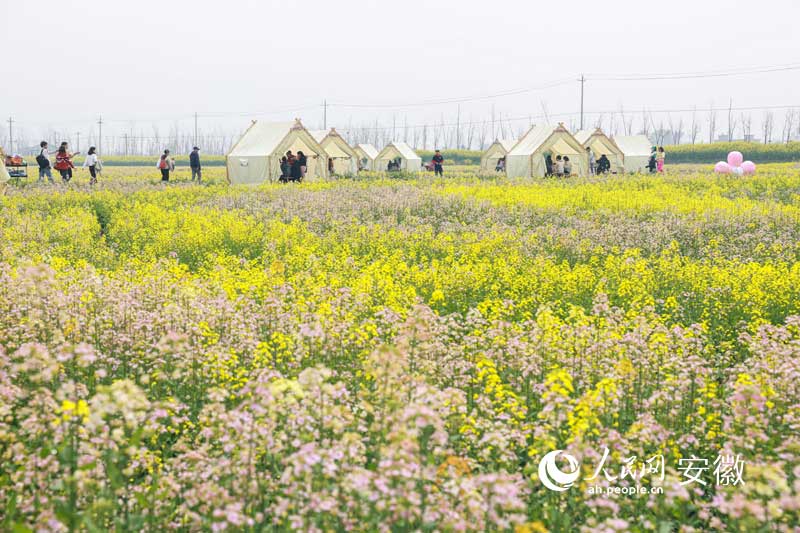 花田火锅引客来。人民网记者 张俊摄