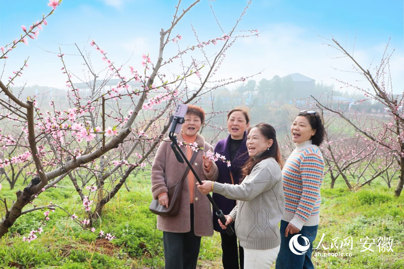 游客们在金冲村的桃园里打卡留念。人民网记者 周坤摄