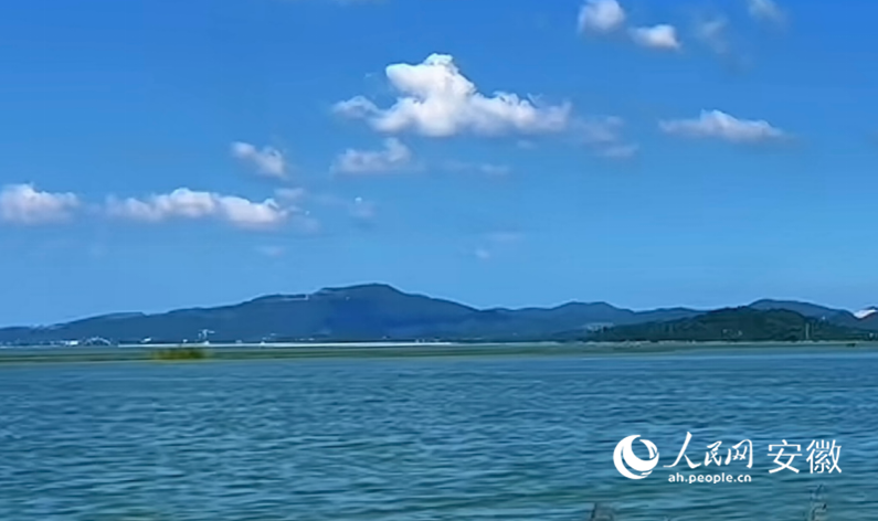 菜子湖国家湿地公园一隅。人民网记者 高飞跃摄