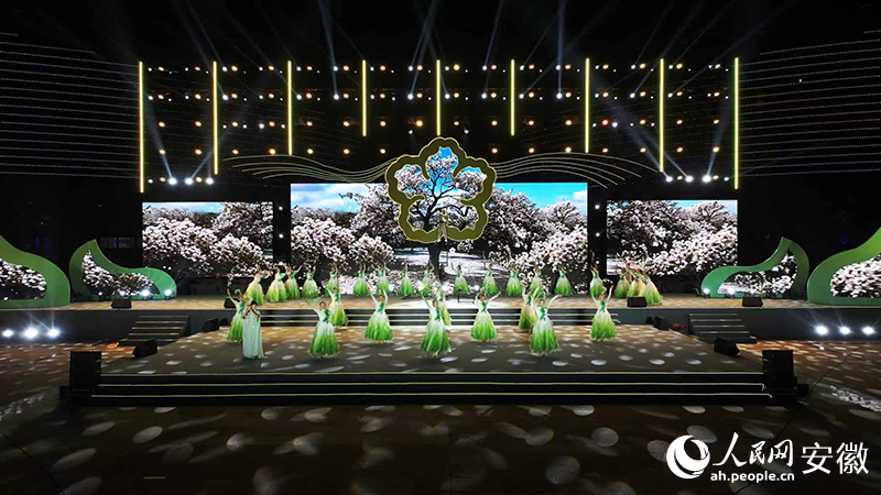 《琼枝舞韵·梨花仙》舞蹈。人民网记者 陶涛摄