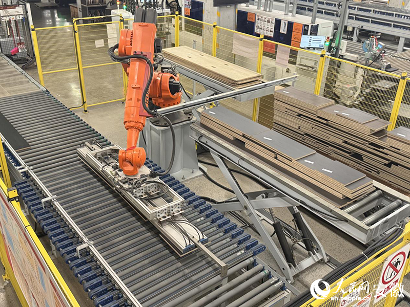 “双凤”展翼“三力”齐鸣②丨一座工厂与一条产业链的共振(图1)