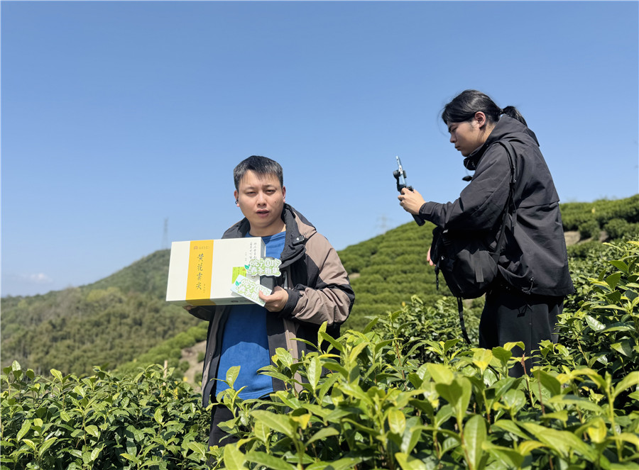 电商在茶山进行现场直播推介。