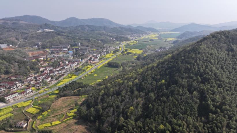 龙桥镇万亩竹海与和美乡村构成一道道亮丽的风景线。