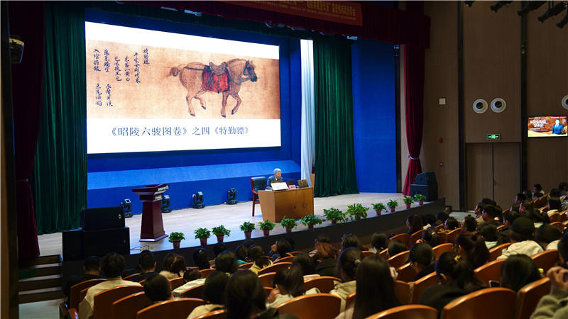 “昭陵两骏望长安”主题讲座（六安市图书馆供图）