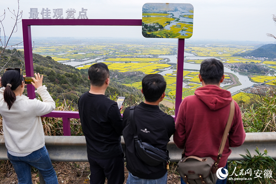 游客在山顶拍摄花海全景。人民网记者 苗子健摄