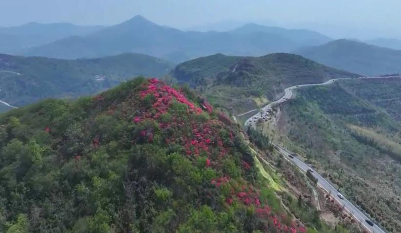 双顶山下游人如织。