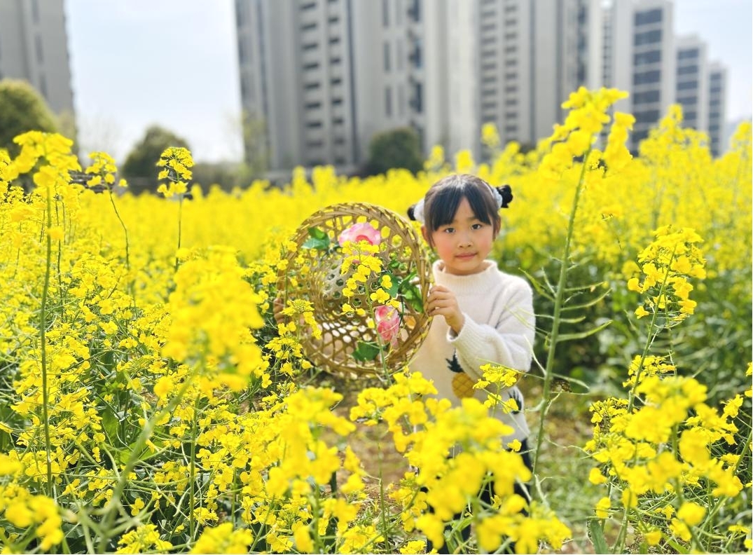 孩童在油菜花田拍照。双墩镇百川社区供图