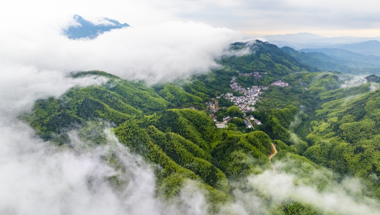 邱山村风景。