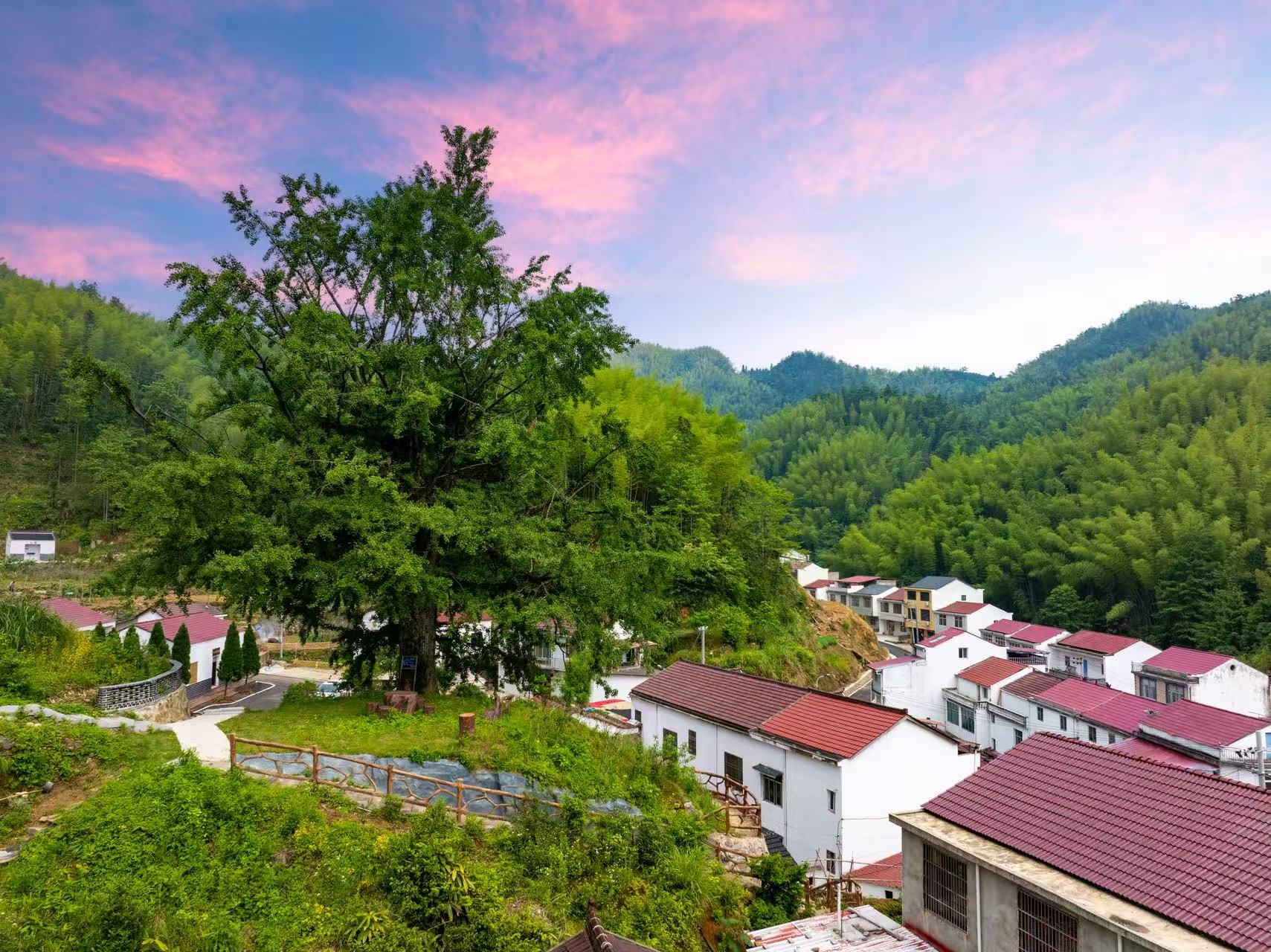 邱山村风景。