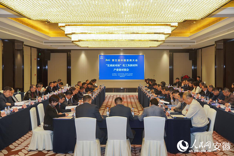 “宜商面对面”产业链接对接会现场。人民网记者 陈若天摄