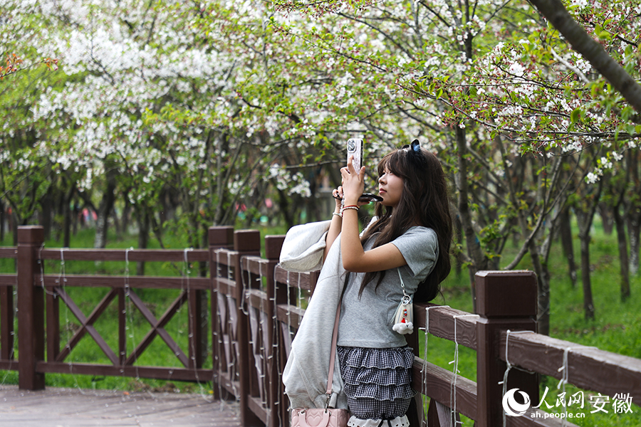 游客在园区内打卡、拍照。人民网记者 陶涛摄