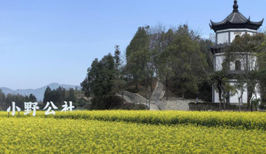 宣城旌德：春季花海映古村 文旅賦能促振興