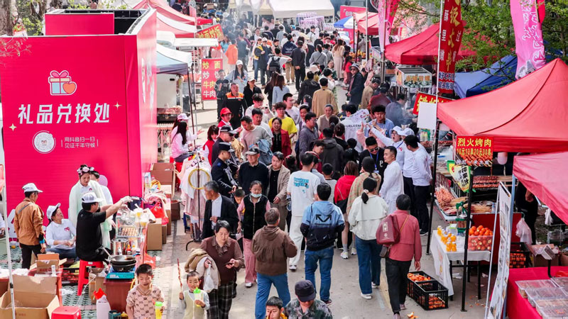 龙山踏青活动现场游人如织。西王镇供图