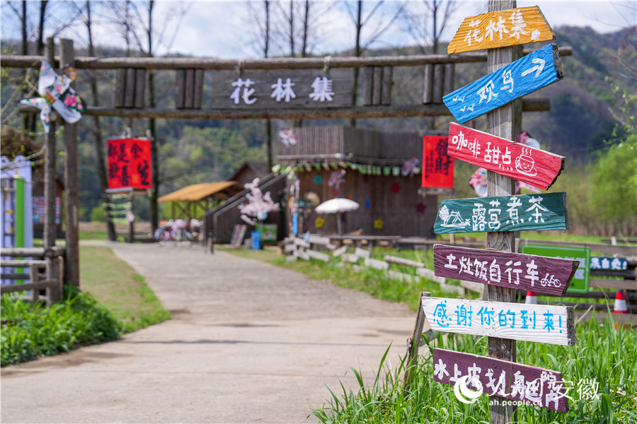 花林畈生态优美景色如画。人民网记者 苗子健摄