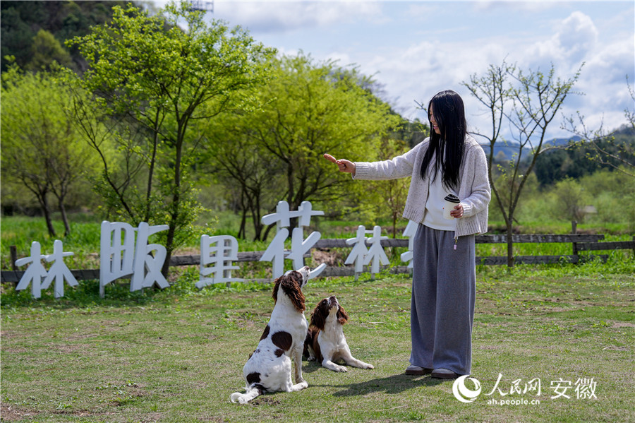 游客在花林畈游玩。人民网记者 苗子健摄