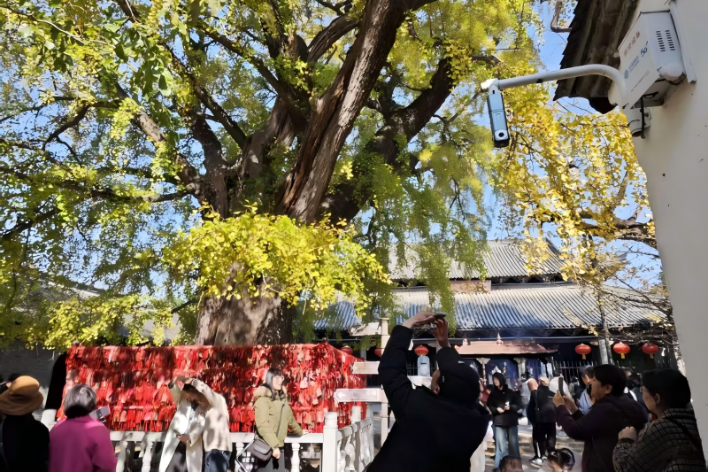 在景区，安徽移动部署的全景摄像头。安徽移动供图