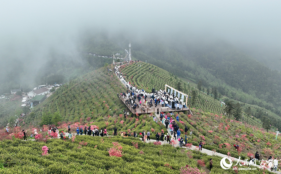 趁着春光正好,游客打卡“茶海花山”。人民网记者 陶涛摄
