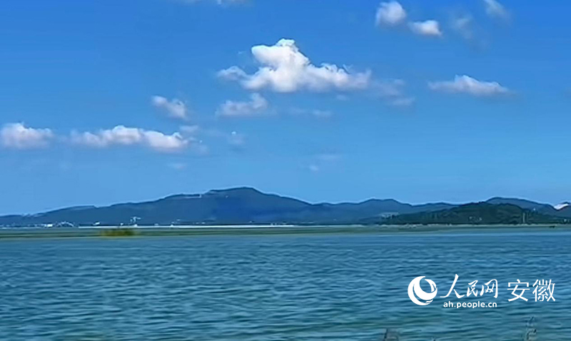 菜子湖國家濕地公園一隅。人民網記者 高飛躍攝