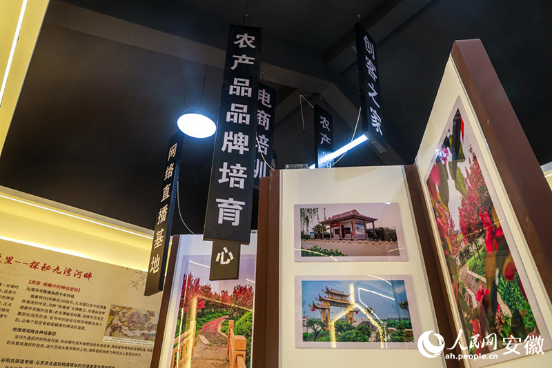 連城鎮農文旅發展成果展示。人民網記者 陶濤攝