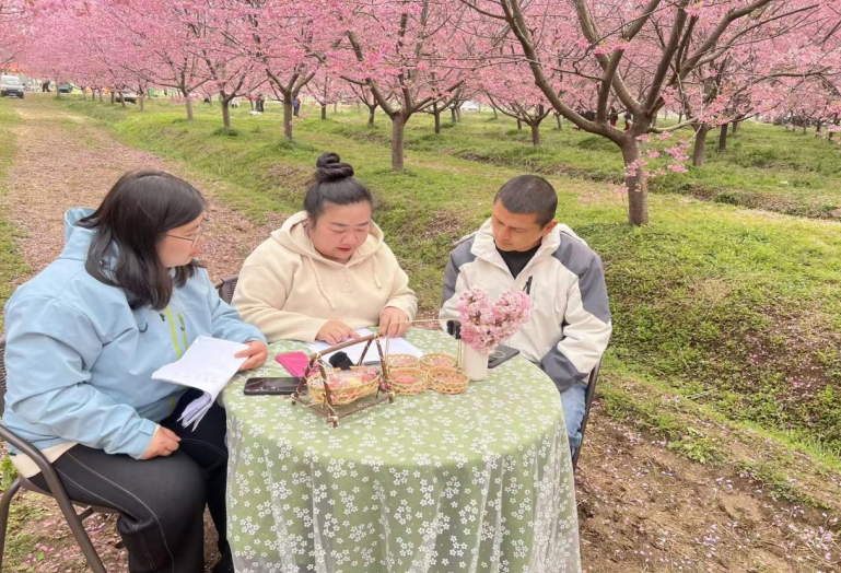 马厂镇樱花知识科普专场播前现场沟通。
