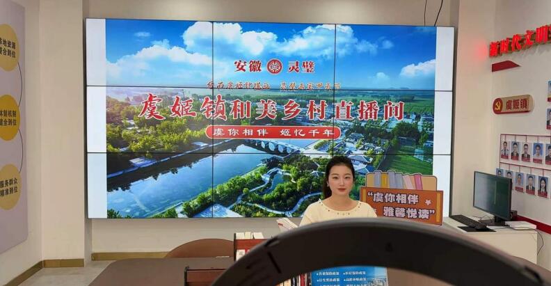 和美乡村直播间开展“虞你相伴 雅馨悦读”读书分享活动。灵璧县委宣传部供图