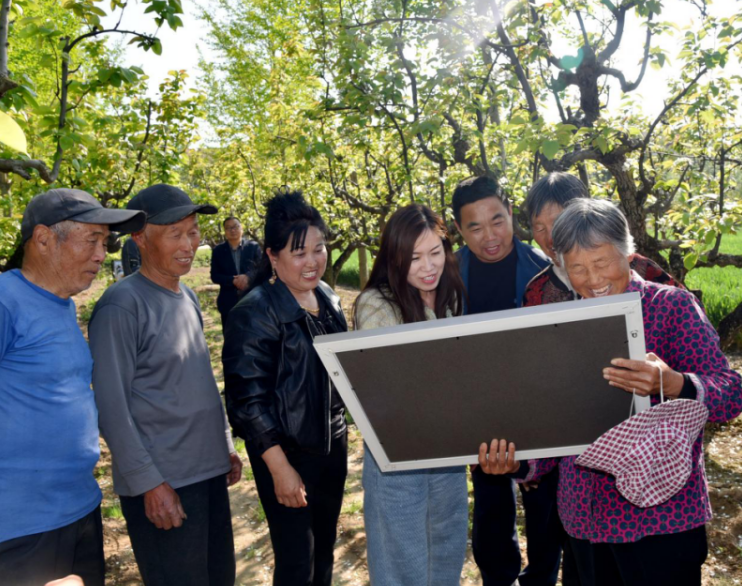 在梨园里干农活的村民观看全家福。李艳龙 摄