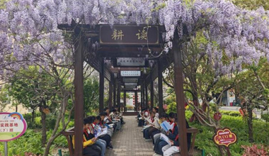 靈璧縣下樓鎮：書香潤童心 護苗助成長