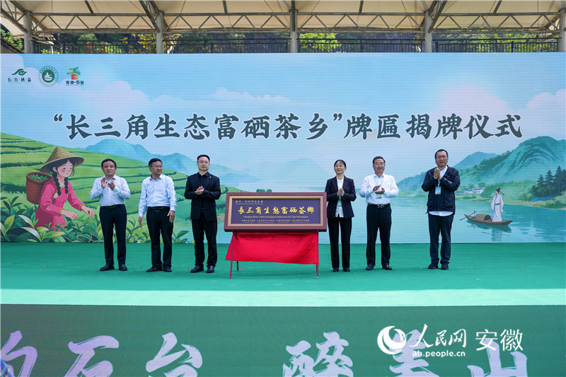 石台被授予长三角生态富硒茶乡匾额。人民网记者 苗子健摄