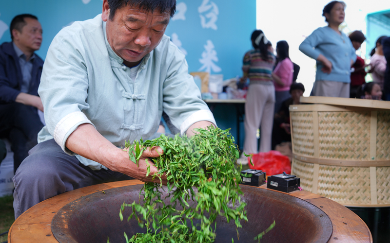 第23届安徽石台茶文化节开幕